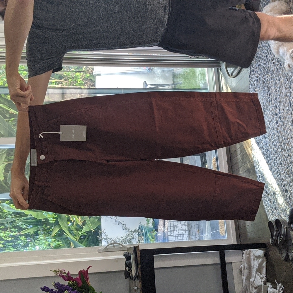 Everlane The Utility Barrel Pant